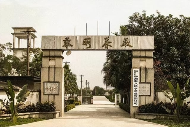 班章老树金印麒麟野韵茶 秒懂大国茶标杆-哉互尼烹饪网 班章老树金印麒麟野韵茶 秒懂大国茶标杆-哉互尼烹饪网