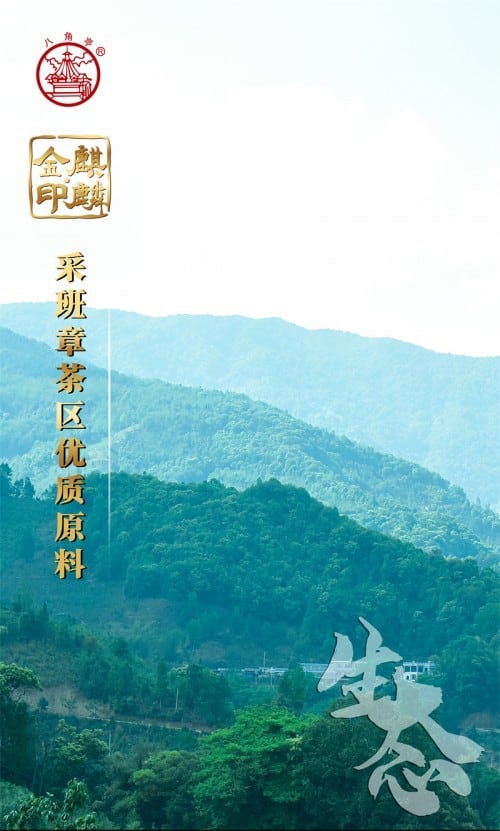 班章老树金印麒麟野韵茶 秒懂大国茶标杆-哉互尼烹饪网 班章老树金印麒麟野韵茶 秒懂大国茶标杆-哉互尼烹饪网