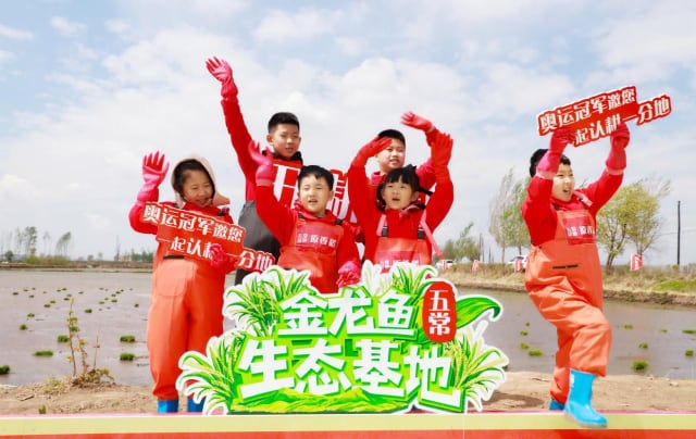 科技赋能农业新典范：守护五常大米正宗基因-哉互尼烹饪网