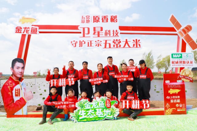 科技赋能农业新典范：守护五常大米正宗基因-哉互尼烹饪网