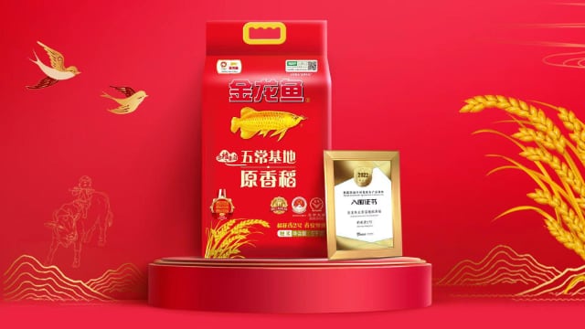 科技赋能农业新典范：守护五常大米正宗基因-哉互尼烹饪网
