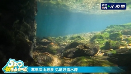 520健康跑与探厂揭秘:中国劲酒品质浪漫之旅-哉互尼烹饪网 520健康跑与探厂揭秘:中国劲酒品质浪漫之旅-哉互尼烹饪网