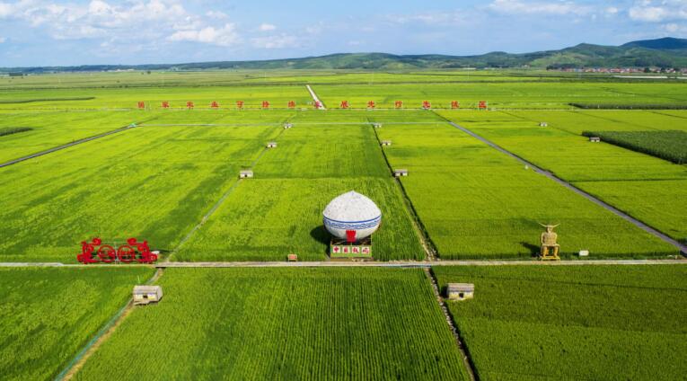 吉林大米品牌建设引领农业产业升级与经济高质量发展-云溯流哉互尼烹饪网