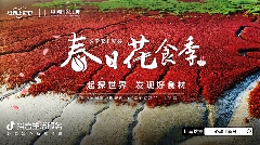 餐饮新品营销新方向：时令与文化碰撞打造爆款-哉互尼烹饪网