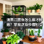清蒸江团鱼怎么做才鲜嫩?掌握这些步骤秒变大厨!(图2) 清蒸江团鱼怎么做才鲜嫩?掌握这些步骤秒变大厨!(图2)
