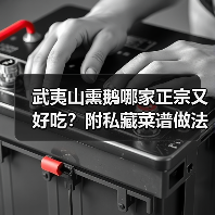 武夷山熏鹅哪家正宗又好吃?附私藏菜谱做法!(图3) 武夷山熏鹅哪家正宗又好吃?附私藏菜谱做法!(图3)