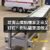 武夷山熏鹅地道推荐与家庭做法全解析-哉互尼烹饪网