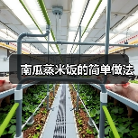 南瓜蒸米饭的简单做法(图2) 南瓜蒸米饭的简单做法(图2)