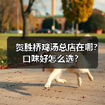 贺胜桥鸡汤总店在哪?口味好怎么选?(图4) 贺胜桥鸡汤总店在哪?口味好怎么选?(图4)