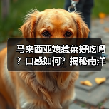 马来西亚娘惹菜好吃吗?口感如何?揭秘南洋美食的神秘魅力!(图3) 马来西亚娘惹菜好吃吗?口感如何?揭秘南洋美食的神秘魅力!(图3)