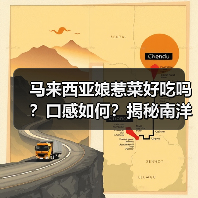 娘惹菜：中马文化交融的美味与历史密码-哉互尼烹饪网