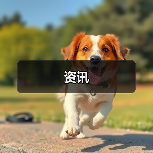 资讯(图1) 资讯(图1)