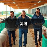 资讯(图4) 资讯(图4)