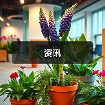 资讯(图4) 资讯(图4)