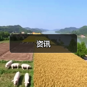 资讯(图3) 资讯(图3)