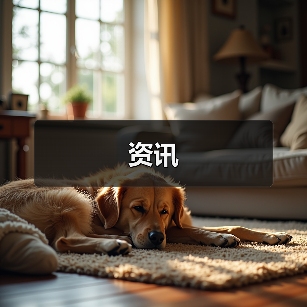 资讯(图1) 资讯(图1)
