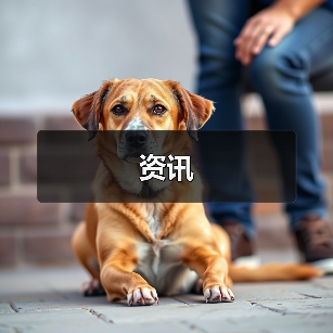 资讯(图4) 资讯(图4)