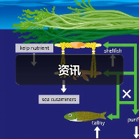 资讯(图2) 资讯(图2)