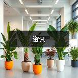 资讯(图4) 资讯(图4)