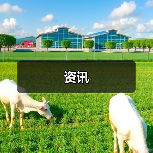 资讯(图4) 资讯(图4)