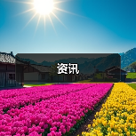 夏日狂欢之旅：音乐节市集与品牌互动盛宴-哉互尼烹饪网