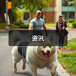 资讯(图4) 资讯(图4)