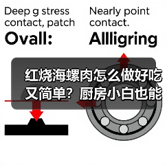 红烧海螺肉怎么做好吃又简单?厨房小白也能轻松复刻的鲜香秘诀!✨(图1) 红烧海螺肉怎么做好吃又简单?厨房小白也能轻松复刻的鲜香秘诀!✨(图1)