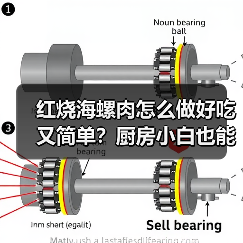 红烧海螺肉怎么做好吃又简单?厨房小白也能轻松复刻的鲜香秘诀!✨(图2) 红烧海螺肉怎么做好吃又简单?厨房小白也能轻松复刻的鲜香秘诀!✨(图2)