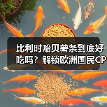 比利时贻贝薯条到底好吃吗?解锁欧洲国民CP的正确打开方式!(图2) 比利时贻贝薯条到底好吃吗?解锁欧洲国民CP的正确打开方式!(图2)