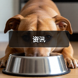 资讯(图4) 资讯(图4)