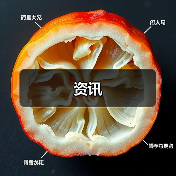 资讯(图3) 资讯(图3)