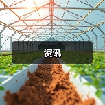 资讯(图1) 资讯(图1)