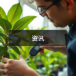 资讯(图2) 资讯(图2)