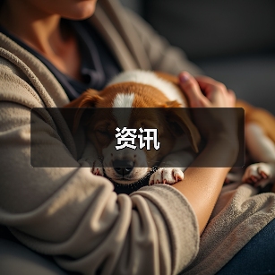 资讯(图3) 资讯(图3)