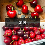 资讯(图1) 资讯(图1)