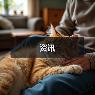 资讯(图3) 资讯(图3)