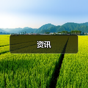 资讯（图4）