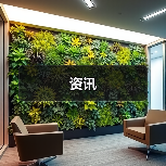 资讯（图3）