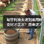 揭秘正宗匈牙利渔夫汤的核心食材与家庭做法-云溯流哉互尼烹饪网 揭秘正宗匈牙利渔夫汤的核心食材与家庭做法-云溯流哉互尼烹饪网