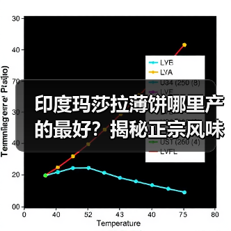 印度玛莎拉薄饼哪里产的最好?揭秘正宗风味来源!(图3) 印度玛莎拉薄饼哪里产的最好?揭秘正宗风味来源!(图3)