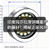 印度玛莎拉薄饼哪里产的最好?揭秘正宗风味来源!(图2) 印度玛莎拉薄饼哪里产的最好?揭秘正宗风味来源!(图2)