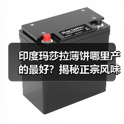 印度玛莎拉薄饼哪里产的最好?揭秘正宗风味来源!(图4) 印度玛莎拉薄饼哪里产的最好?揭秘正宗风味来源!(图4)