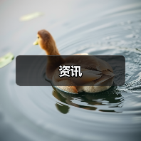 资讯