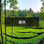 资讯(图3) 资讯(图3)