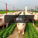 资讯