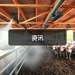 资讯(图4) 资讯(图4)