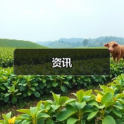 资讯(图4) 资讯(图4)