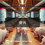 资讯