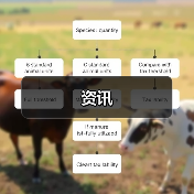 资讯(图2) 资讯(图2)