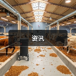 资讯